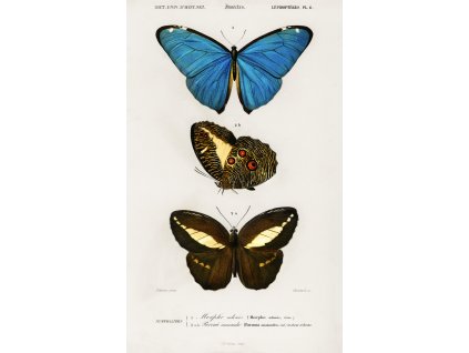 image from rawpixel id 324436 jpeg