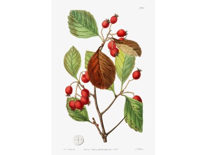 image from rawpixel id 559244 jpeg