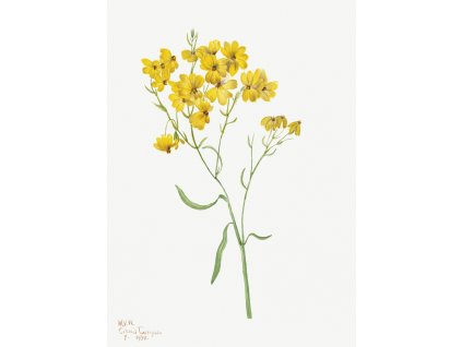 image from rawpixel id 2613791 jpeg