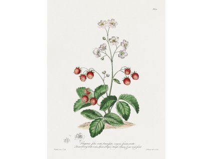 image from rawpixel id 3249614 jpeg