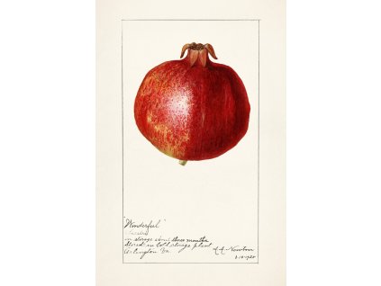 image from rawpixel id 2254158 jpeg