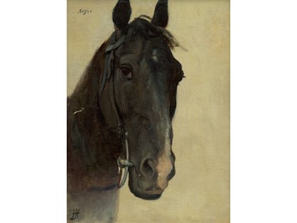 image from rawpixel id 8896560 original