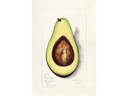 image from rawpixel id 2260184 jpeg