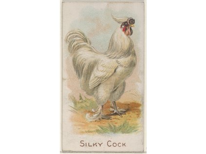 image from rawpixel id 9611510 original