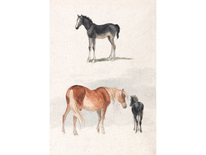 image from rawpixel id 10184835 jpeg