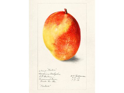 Návrh bez názvu (8)