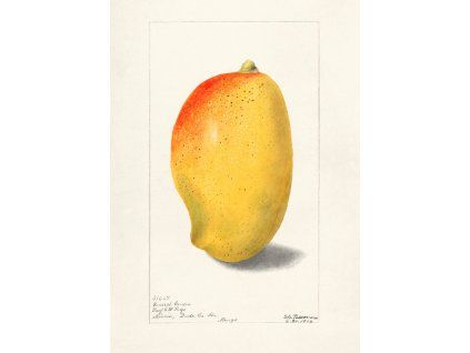 tisková data ovoce 8.4.2026