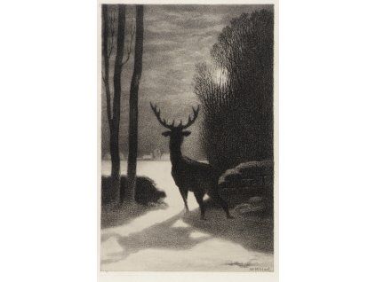 image from rawpixel id 8849923 jpeg