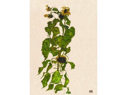 pozadi schiele