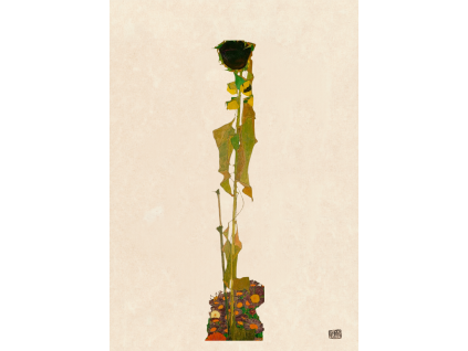 pozadi schiele (6)