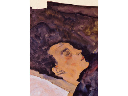 pozadi schiele (9)