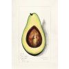 image from rawpixel id 2260184 jpeg