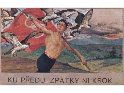 Sokolské pohlednice č. 21