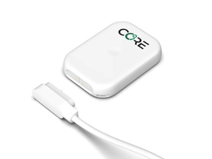 core 2 thermal sensor