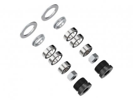 assioma bearings