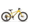 BEANY BLASTER XC 20"