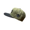 olive 2