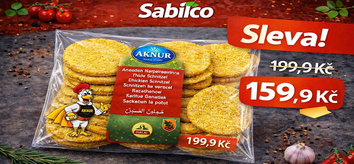 Schnitzel Aknur