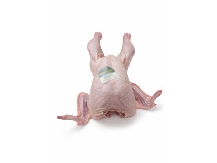 589F95B2 E7A9 4D87 A73E 63D37EED04DE