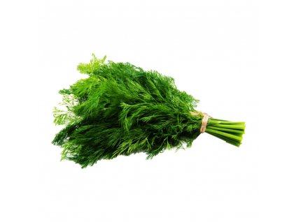 Fresh Dill
