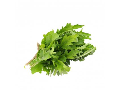 Rucola