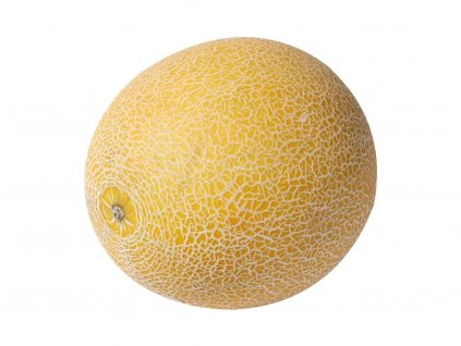 Melon Galia cca 1,1kg min