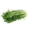 Fresh Chicory