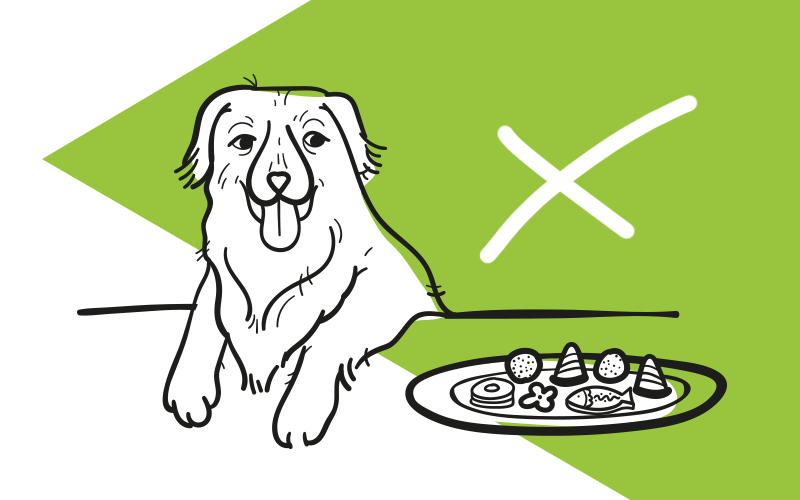 Jak přežít Vánoce bez cukroví… pro psy!