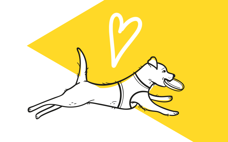 Psi v rovnováze: Psí well-being a psychická pohoda na prvním místě