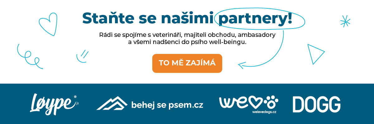 Spolupráce