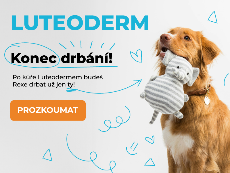 Kdo ocení Luteoderm