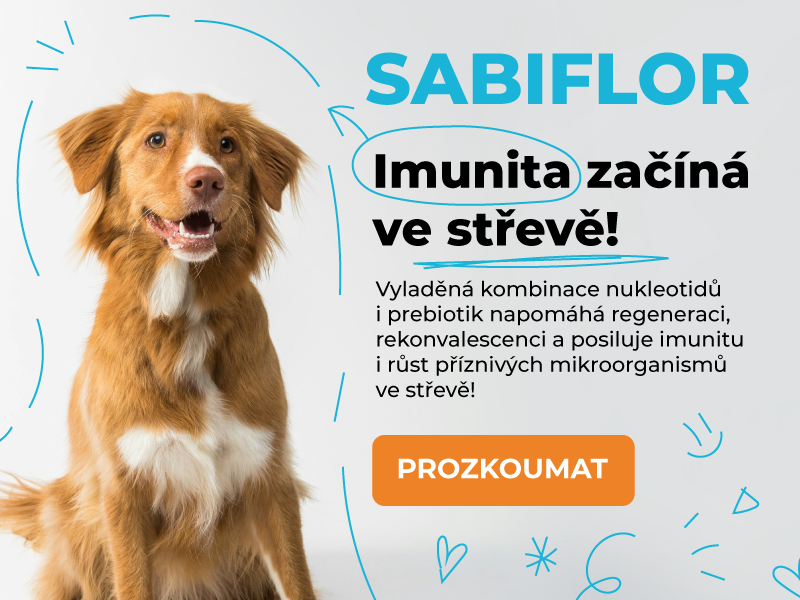 Kdo se může na Sabiflor vždy spolehnout?