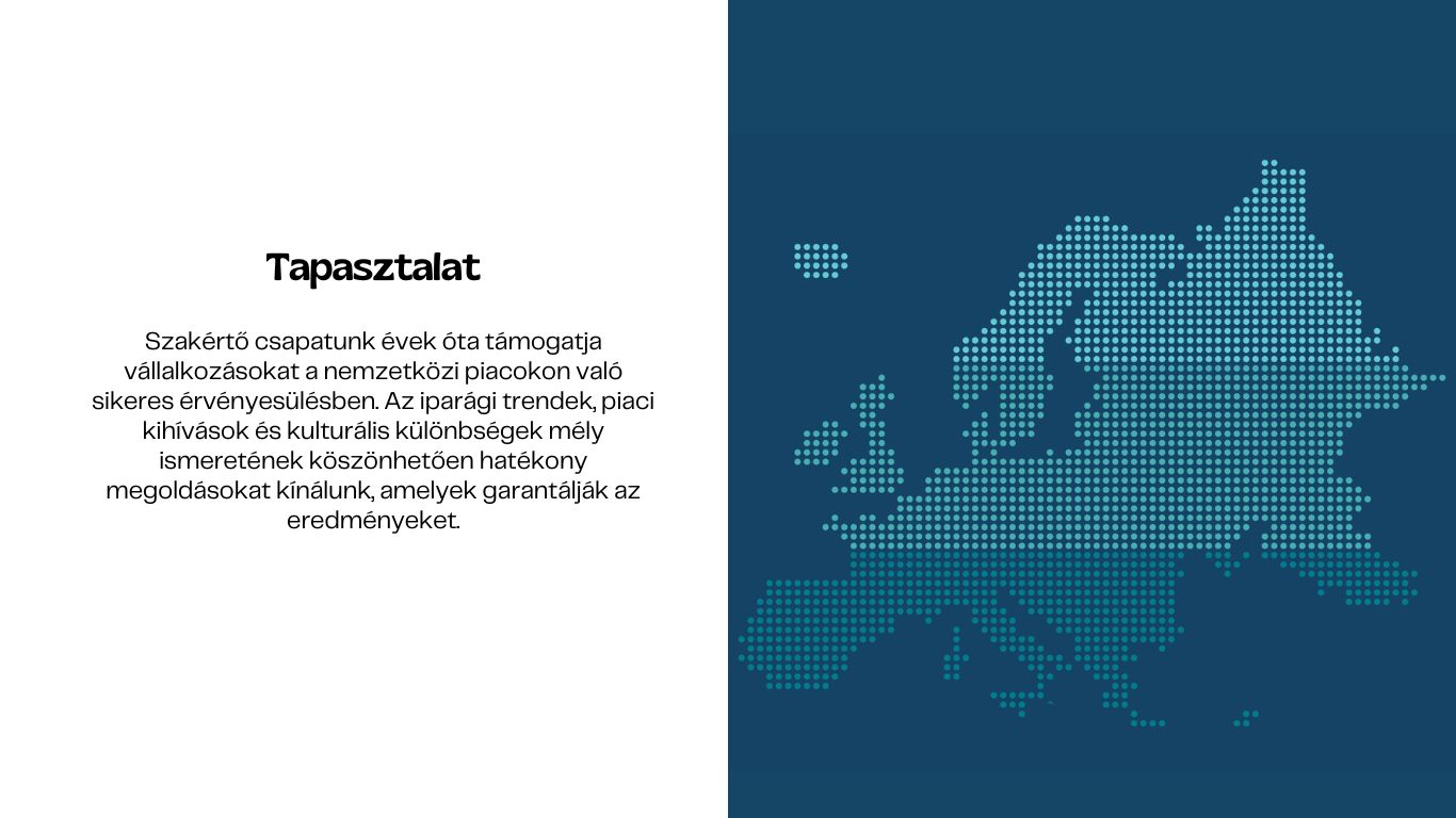 Tapasztalat