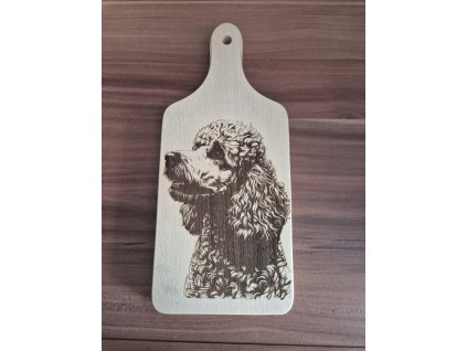 5ba9f8bb 376c 46a5 9ebc 34abe8a19756