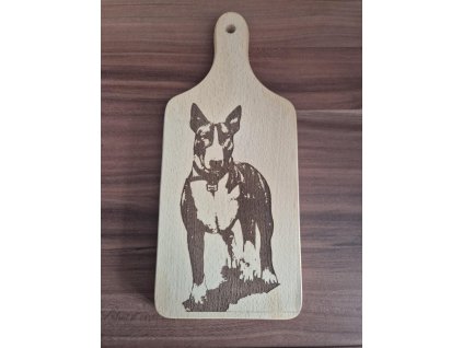 cbbcd527 6bed 45ff ade5 271b4c3a11bd