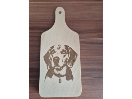 058cda2f 0076 415b b2b1 89155c6fd1bc