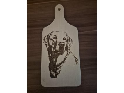 adc29ca8 0f51 4037 ad93 508c25fca921