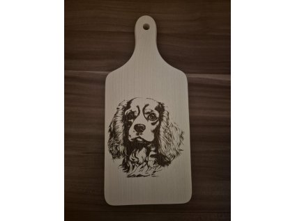 838c8971 db8a 409b 98a1 bcd753179d67