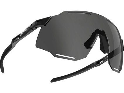 Sluneční brýle Dynafit Alpine, černá