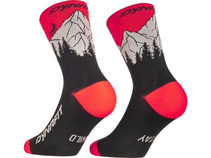 528135d6 2646 4565 bbc0 610456c4c0e2