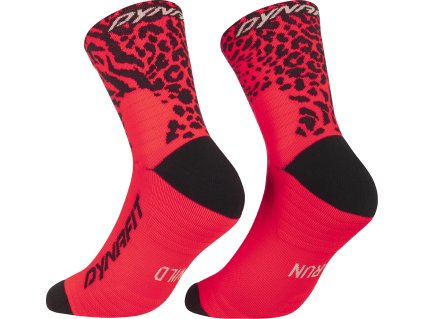 24fab9cb 50a5 414d 93a8 d87fba14321c