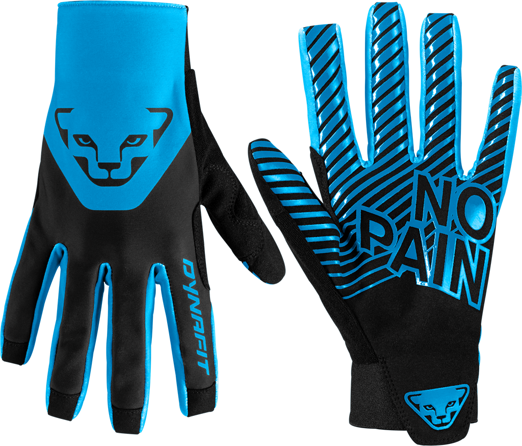 Rukavice Dynafit DNA 2 frost 24/25 Barva: modrá / černá, Velikost: XS