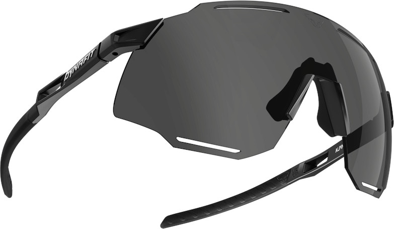 Brýle Dynafit Alpine black out/nimbus 25/26 Barva: černá, Velikost: UNI