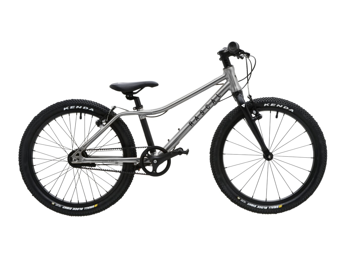 Dětské kolo Rascal 20 Titanium (stříbrná) Barva: stříbrná