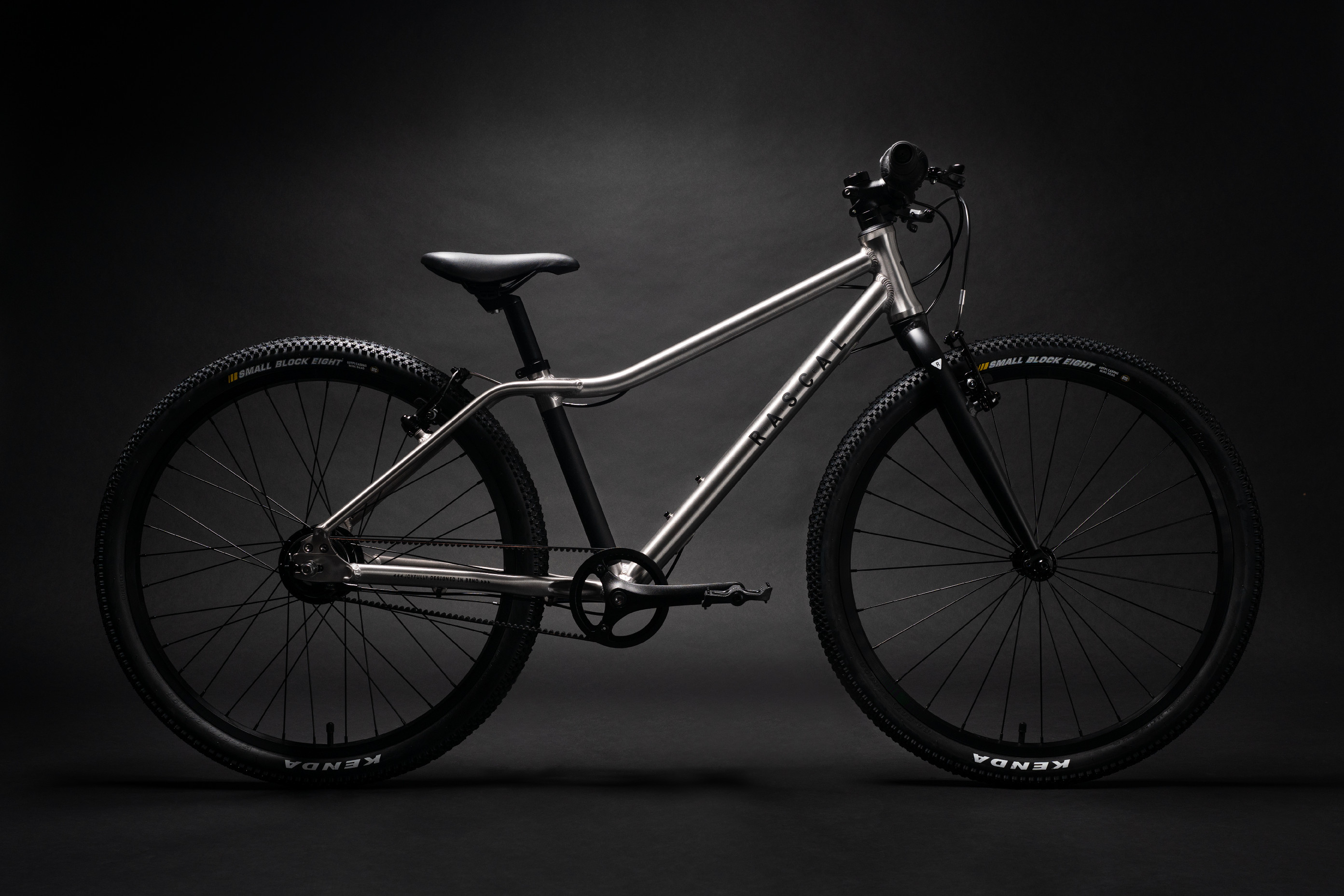 Dětské kolo Rascal 24 Titanium (stříbrná) Barva: stříbrná