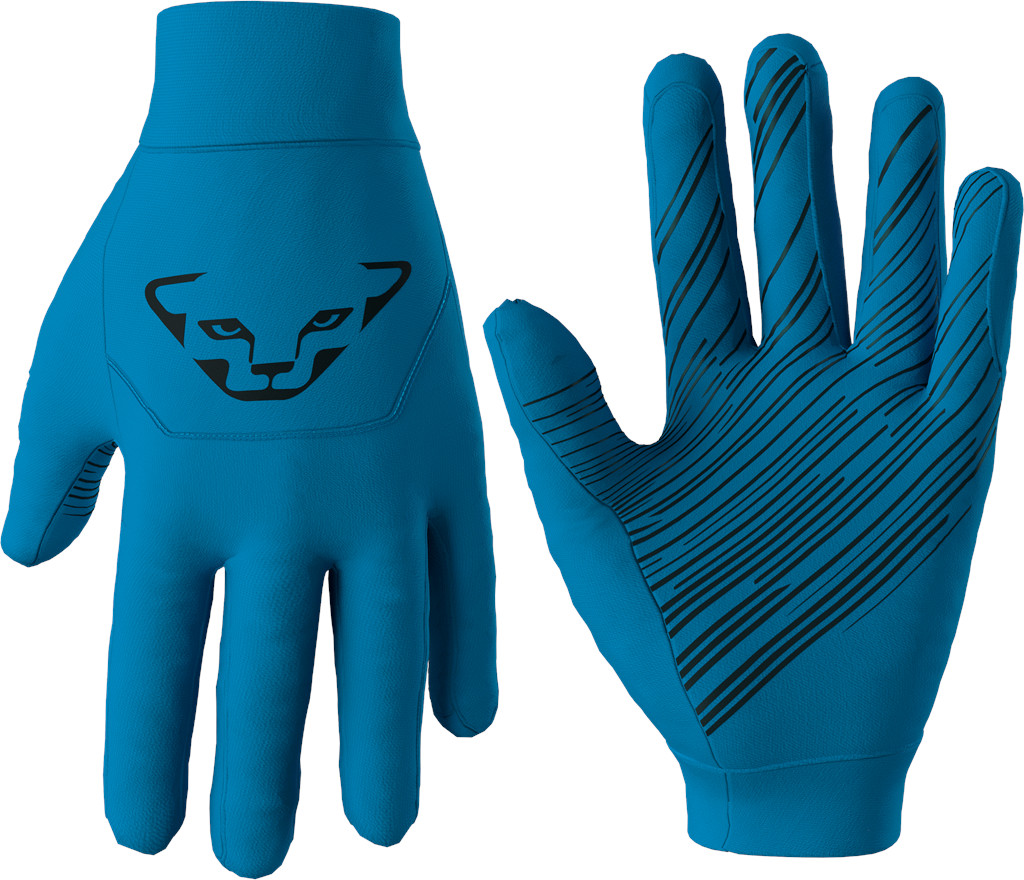 Rukavice Dynafit Upcycled Speed methyl blue 25/26 Barva: modrá, Velikost: XS