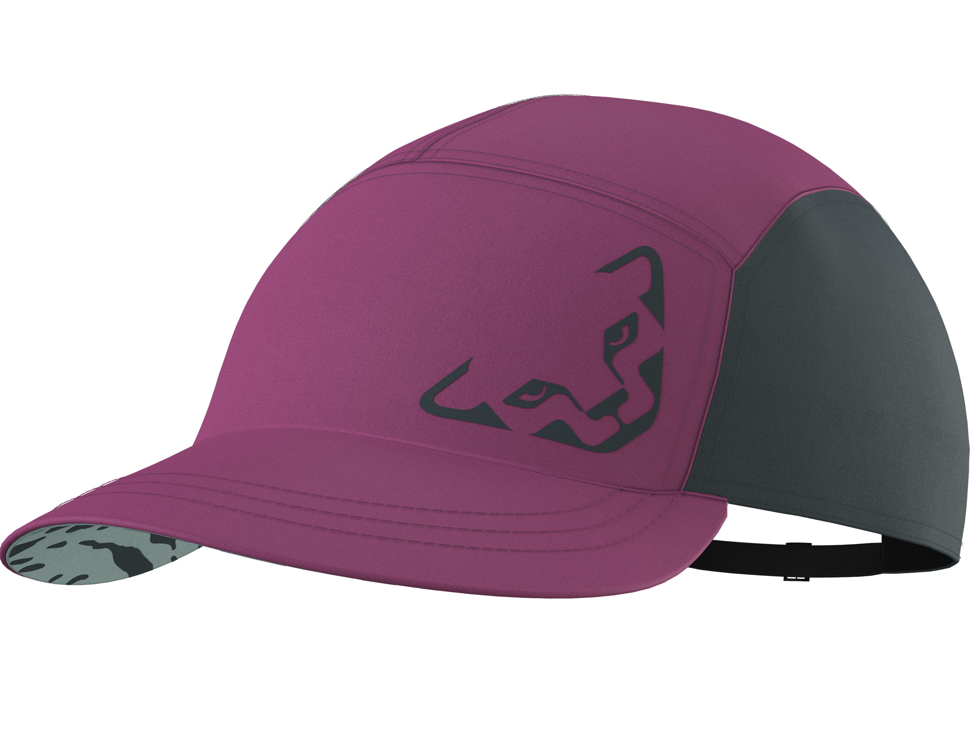 Kšiltovka Dynafit Alpine Cap magenta 2026 Barva: fialová / šedá, Velikost: UNI