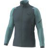 Pánská fleecová mikina Dynafit Blacklight Thermal, modrá