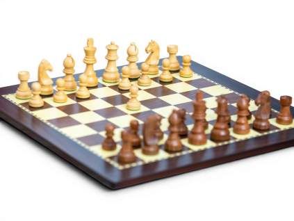 6018 dreveny sach leon