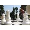 chess pieces and board 1